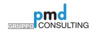 Pmd - Gruppo Consulting